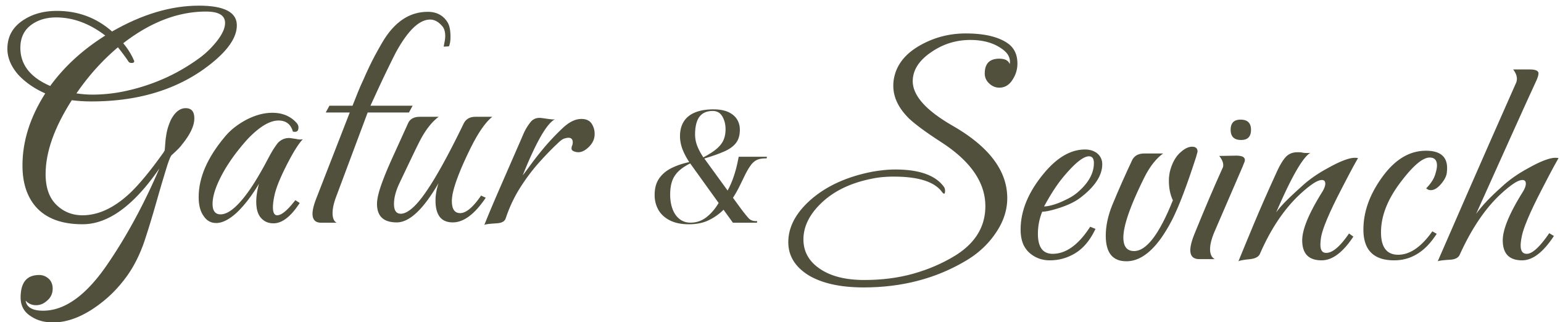 Gafur & Sevinch